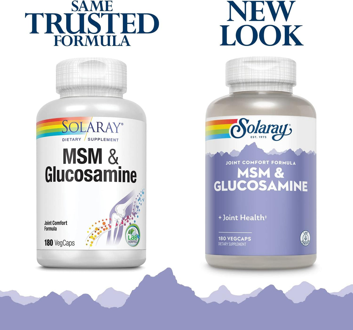 Solaray MSM & Glucosamine Sulfate | FamiliaBoost