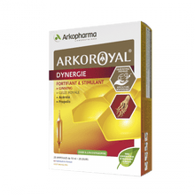 Arkopharma Dynergie | FamiliaBoost