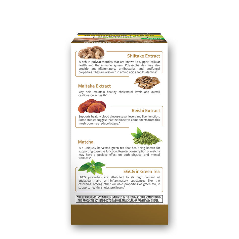 Mason Natural Mushroom Power With Matcha | FamiliaBoost