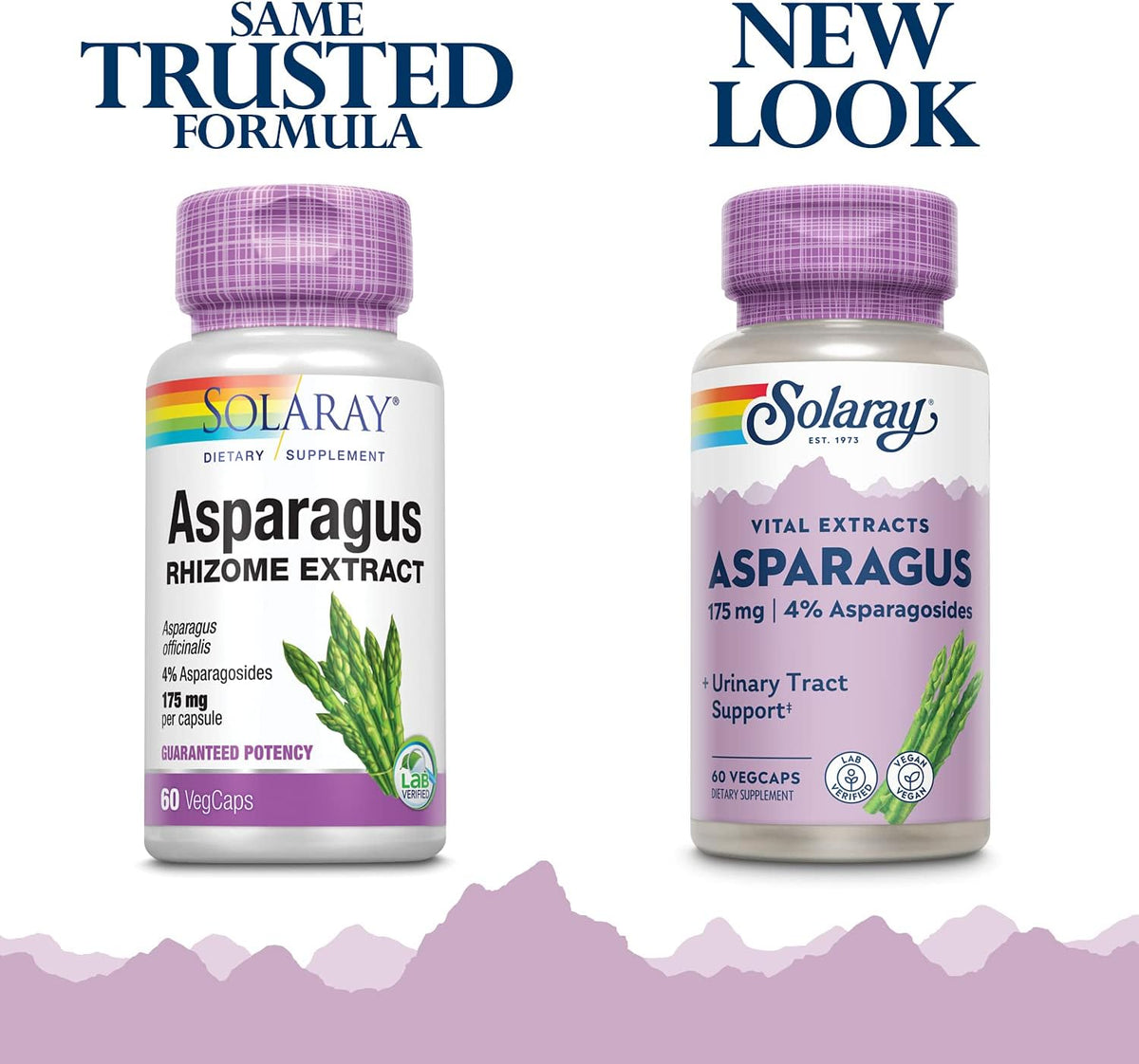 Solaray Asparagus Extract | FamiliaBoost