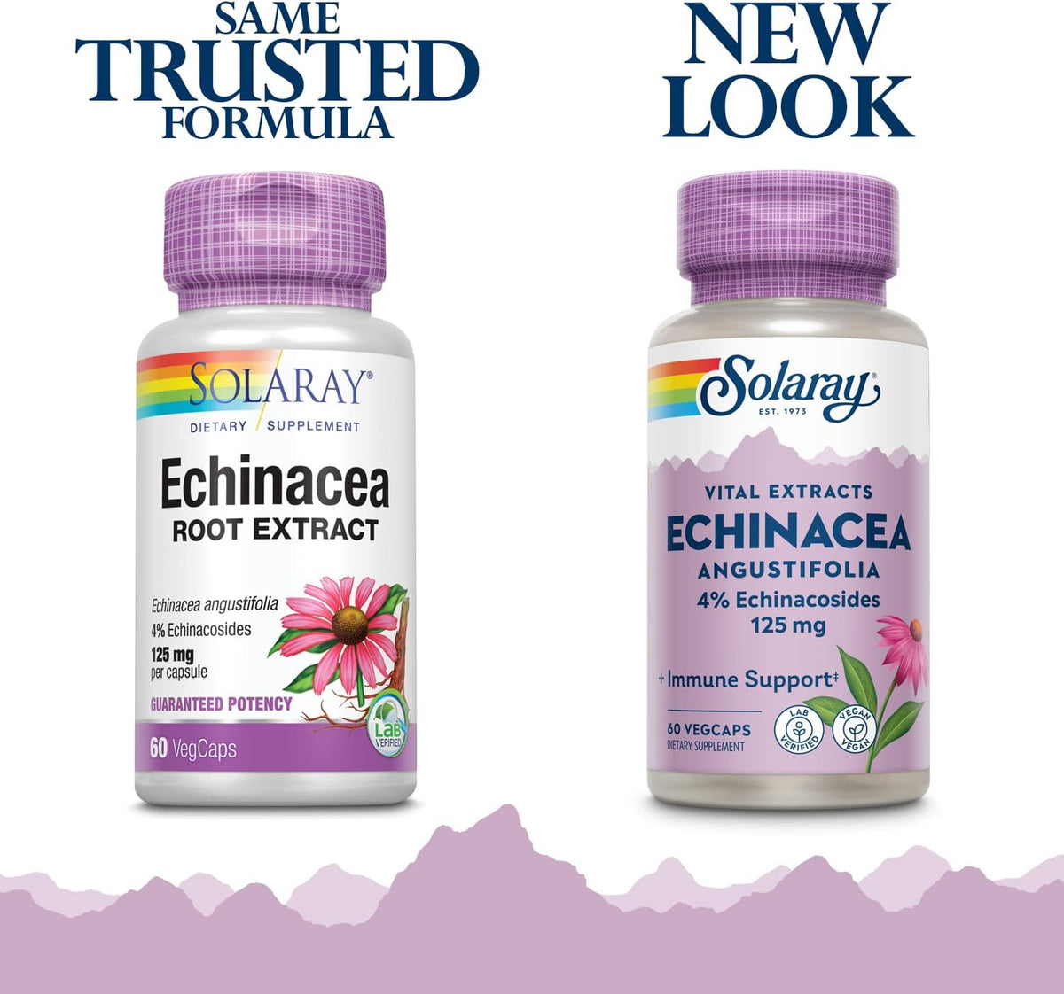 Solaray Echinacea A. Extract 125 mg | FamiliaBoost