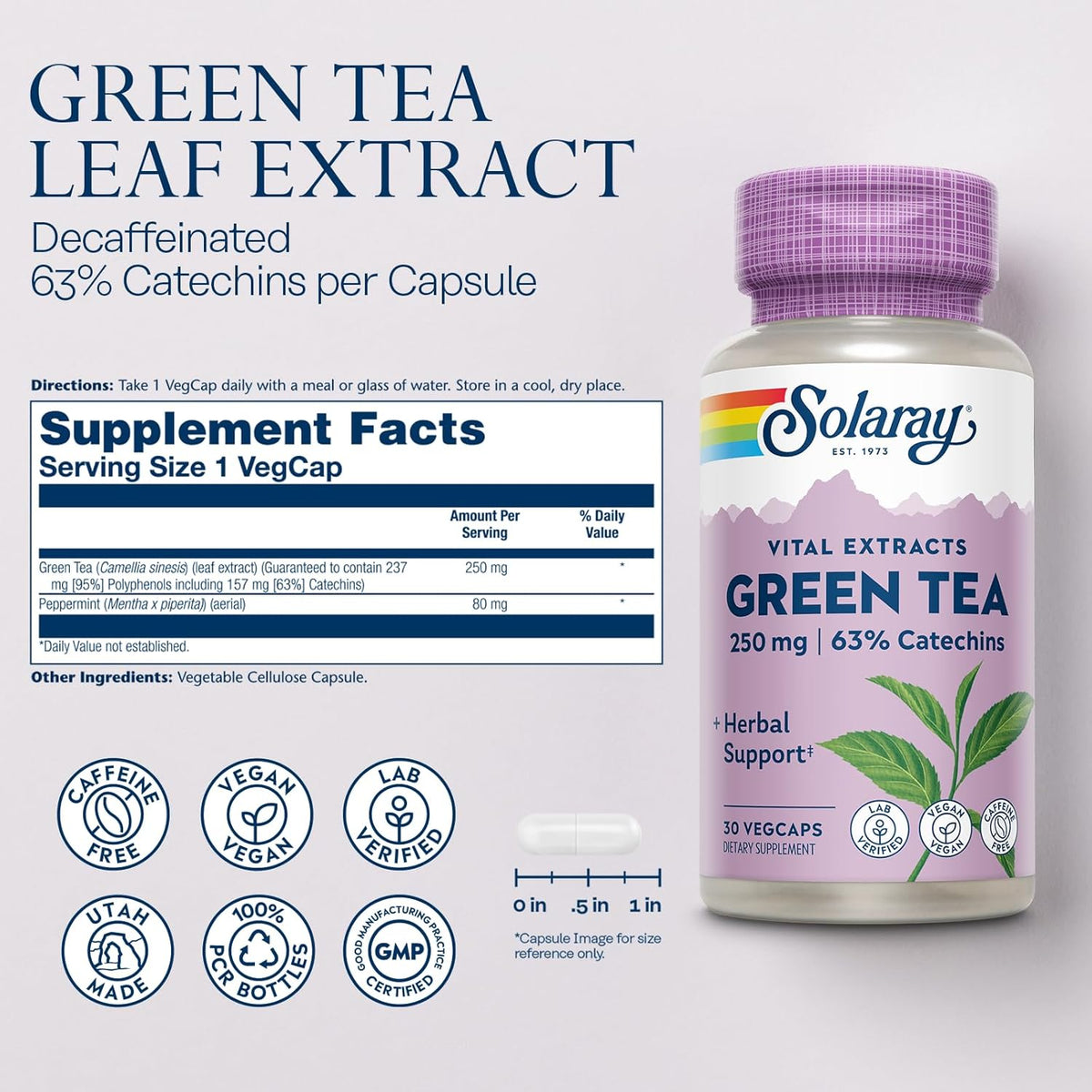 Solaray Green Tea Extract 250 mg | FamiliaBoost