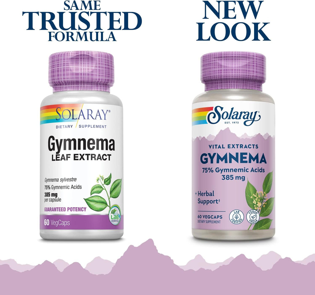 Solaray Gymnema Leaf Extract | FamiliaBoost